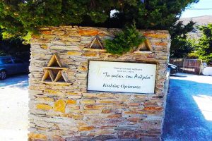 taverna-to-steki-tou-andrea-andros-(2)