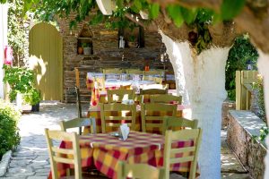 taverna-to-steki-tou-andrea-andros-(4)
