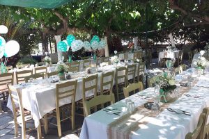 taverna-to-steki-tou-andrea-andros-(6)