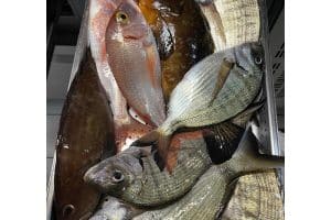 to-steki-tou-andrea-andros-5