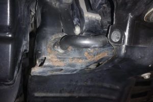 Toyota-Hilux-rust-(10)