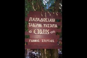 taverna-o-elatos-kalavrita (2)