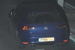 vw-golf-r-golden-toilet-1