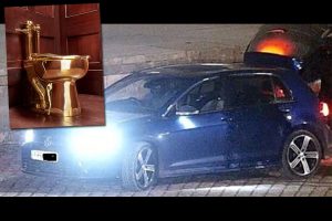 vw-golf-r-golden-toilet-4