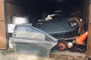 Paratimeni_Lambo_Murcielago_2