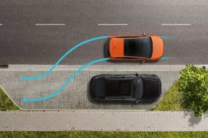 VW Polo park assist