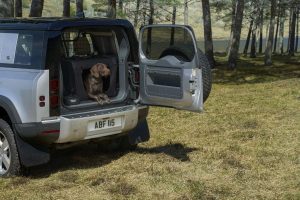 dokimi antoxis land rover