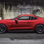 mustang 1000 aloga bmw2