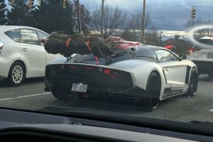 xristougenniatiki xrisi aplwstras