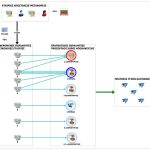 νοθευμένα-καύσιμα-(4)