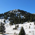 Citroen C5 Aircross 1.2 PureTech 130 (4)