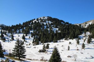 Citroen C5 Aircross 1.2 PureTech 130 (4)