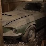 Forgotten_Mustang_GT500_1