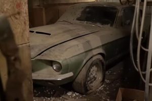 Forgotten_Mustang_GT500_1