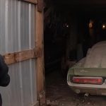 Forgotten_Mustang_GT500_4