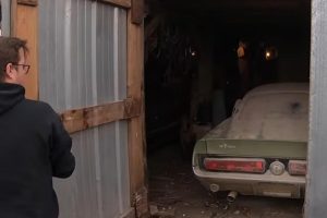 Forgotten_Mustang_GT500_4