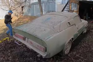 Forgotten_Mustang_GT500_5