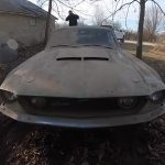 Forgotten_Mustang_GT500_6