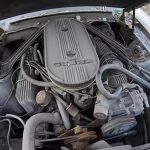 Forgotten_Mustang_GT500_7