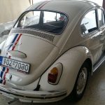 elliniko katsaridaki4