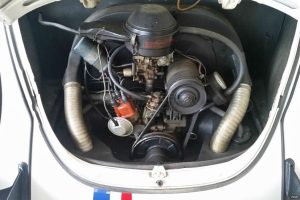 elliniko katsaridaki9