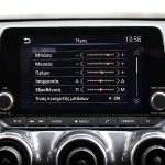 Nissan Juke 1.0 (17)