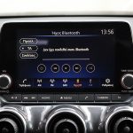 Nissan Juke 1.0 (20)