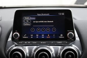 Nissan Juke 1.0 (20)