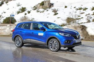 Renault Kadjar 1.3 TCe (35)