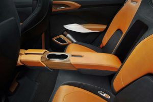 skoda vision in official5