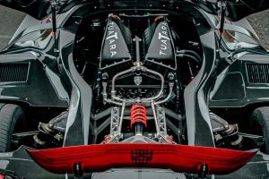 ssc tuatara official11