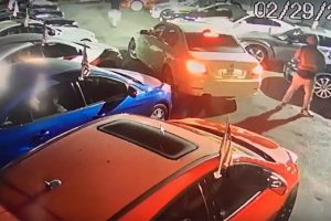 car_thieves