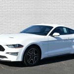 fthinoteri ford mustang3