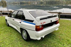 Citroen-BX-4-TC-TURBO-4X4-(7)