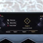 DS 3 Crossback 1.5 BlueHDi 100 (30)