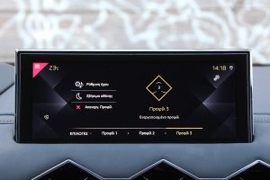 DS 3 Crossback 1.5 BlueHDi 100 (30)