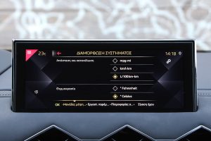 DS 3 Crossback 1.5 BlueHDi 100 (32)