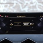 DS 3 Crossback 1.5 BlueHDi 100 (33)