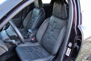 DS 3 Crossback 1.5 BlueHDi 100 (38)