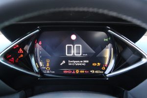 DS 3 Crossback 1.5 BlueHDi 100 (45)