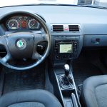 Skoda_Fabia_1_267_000_km-(5)