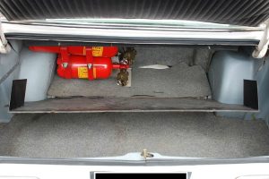 alfa alfetta mafia13