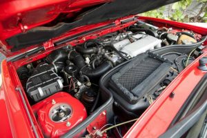 posa dinate gia integrale16