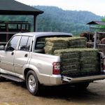 ssangyong musso mercedes11