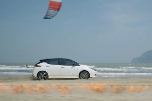 Leaf-vs-elements-(002)