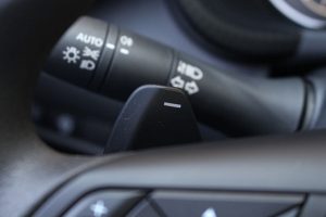 Nissan Juke 1.0T DCT (13)