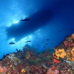 Aqua_Team_Porto_Rafti_Photo9