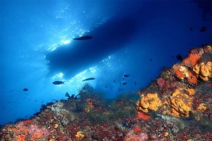 Aqua_Team_Porto_Rafti_Photo9