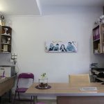 Feel Safe Insurance (3)