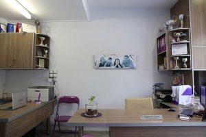 Feel Safe Insurance (3)